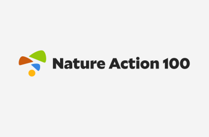 Nature Action 100 Logo