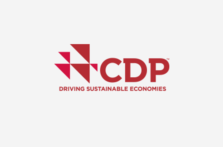 Cdp Logo