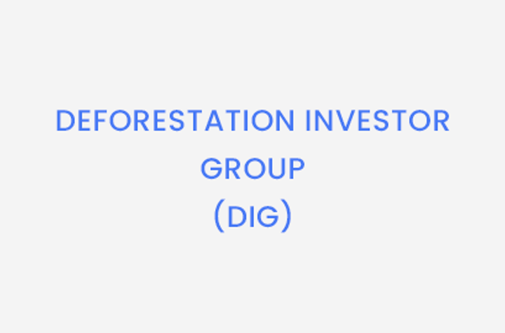 Deforestation Investor Group Logo